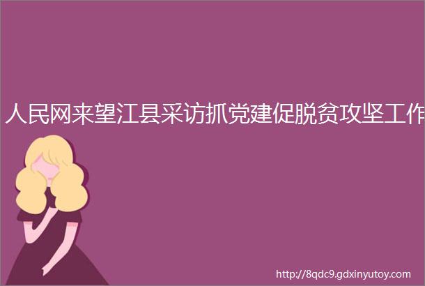 人民网来望江县采访抓党建促脱贫攻坚工作